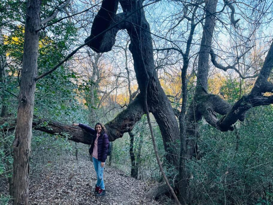 Bastrop Tiny Disc Golf Retreat Villa Luaran gambar